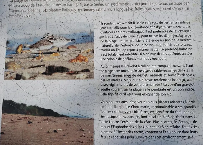 La Griotte 3 Loft & Apartment